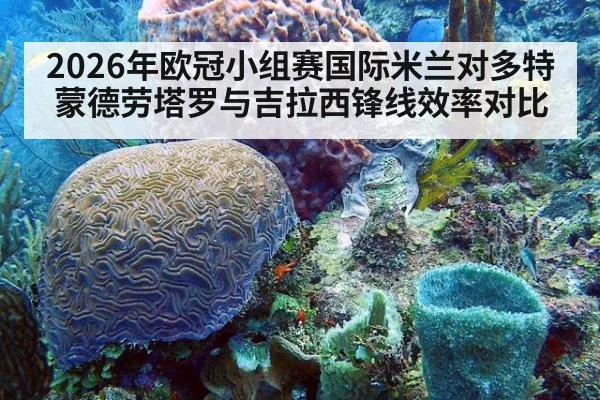 2026年欧冠小组赛国际米兰对多特蒙德劳塔罗与吉拉西锋线效率对比